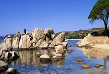 利物浦客场1：0伯恩利 惊险迎四连胜