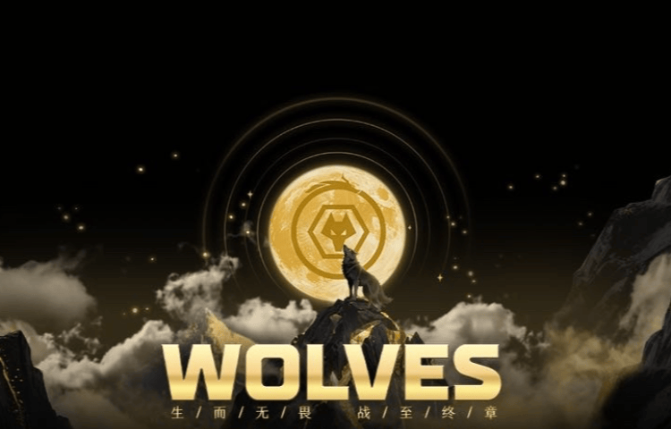 “渝超”璧山狼队真与“十冠王”重庆狼队有关?璧山文旅:我们深度合作